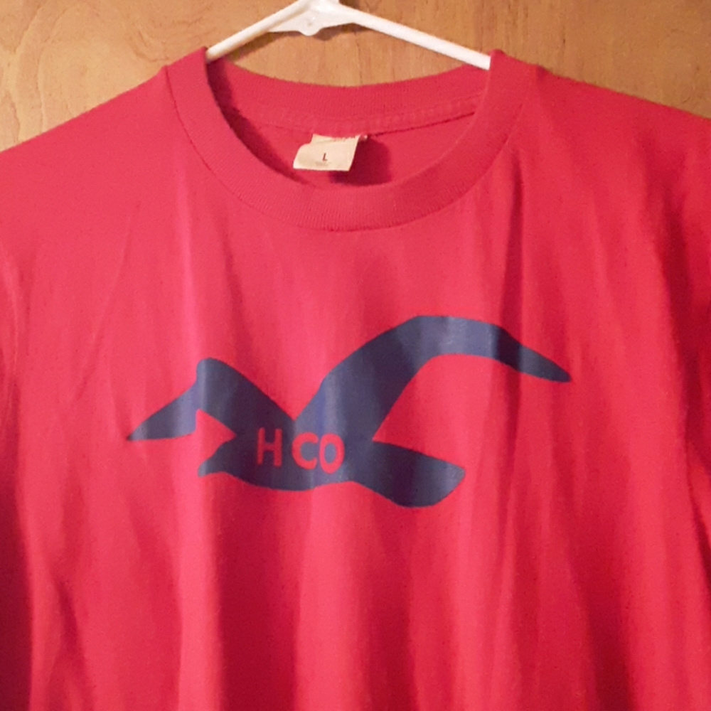 Hollister men's t-shirt
